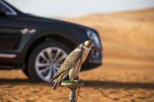 Bentley Bentayga Falconry by Mulliner - Side - With Falcon