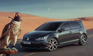 The Chase - Volkswagen Golf GTI Clubsport - Front View - & A Peregrine Falcon