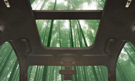 18th Ford Sustainability Report - Potentially Bamboo Vehicle Interiors